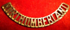 M65, The Northumberland Regiment Shoulder Title  